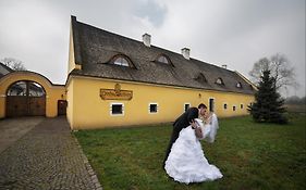 Dvur Olsiny -Hotel And Horse-Riding